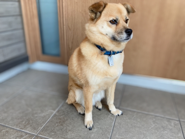 39d162f538eff9e1619486d643663b69