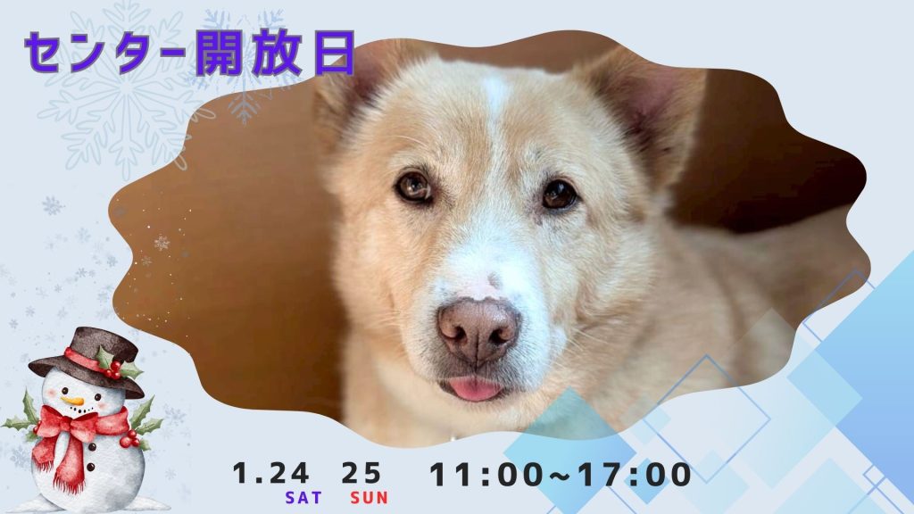 【ピースワンコのイベント】1/24(土)、25(日) センター開放日「保護犬に会いに行こう!」(世田谷譲渡センター) 5 082a0df485d25daa475c1fd9dcf37b07