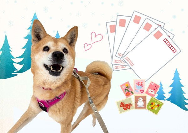 e24b4df82a3252fb3ad0fc6666788c19