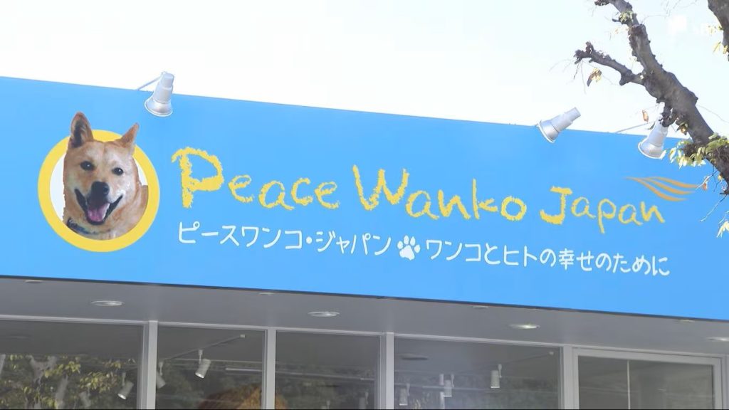 0a3815c01926ffe5388a8dfe30aa1258