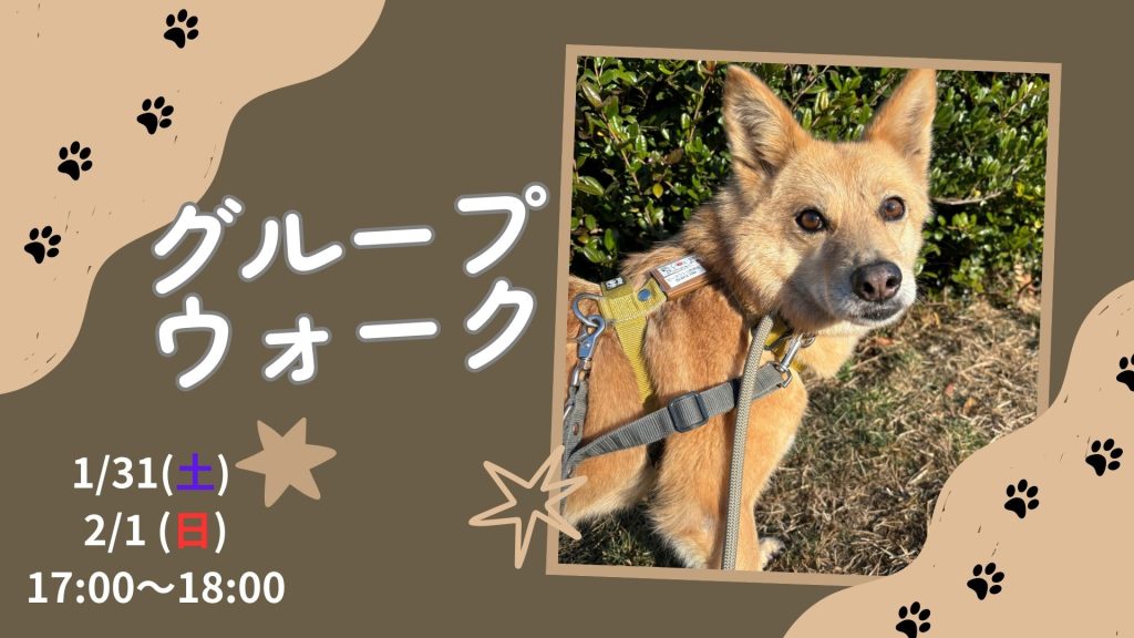 【ピースワンコのイベント】1/31(土) 、2/1(日)「グループウォーク」(世田谷譲渡センター) 3 4ef464df335f82d188dc915f1c72f8d2