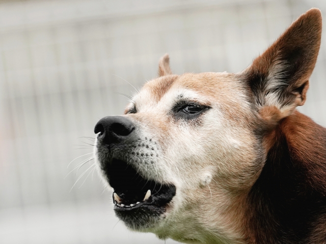 fd01c28df5399e123747f9ca0d966755