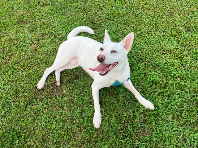 8f93f714712f8c7e527aa05550318ebf 1