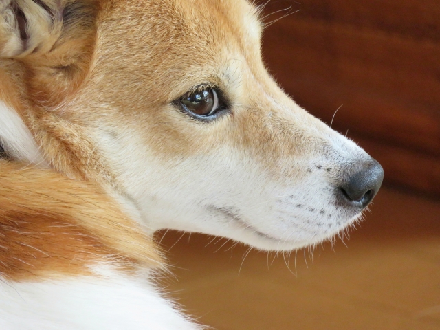 a315eb00a3a3aea1fb35f45171e7a6fd 1