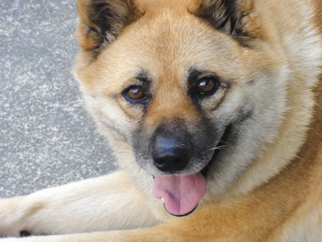 f2a703a5a87727fe41caffe96894db2a 1