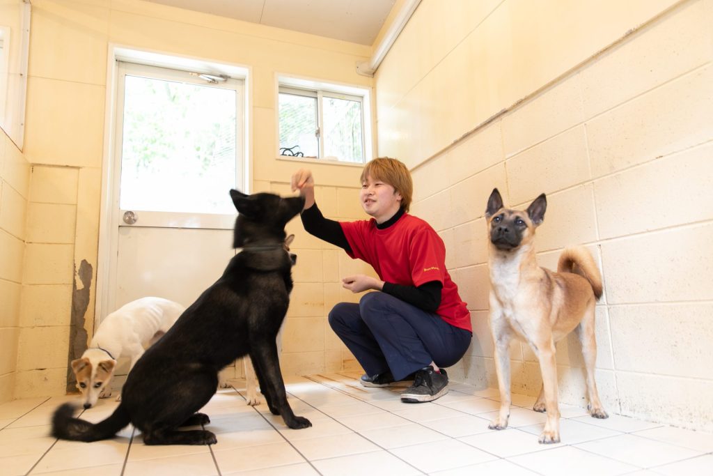 e8d58d7bd168d2de53e3d3fc5f8c7836 1