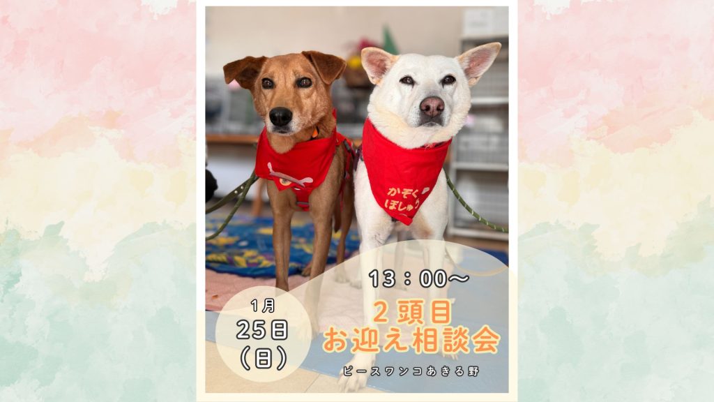 【ピースワンコのイベント】1/25(日)「2頭目お迎え相談会」を開催(あきる野譲渡センター) 2 ea2c8b1c110574807fab943ffd1efe93 1