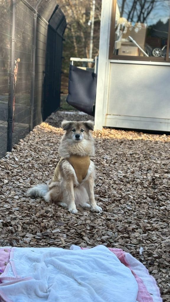 0d9bdef7de652622a805cc05a7638fa3