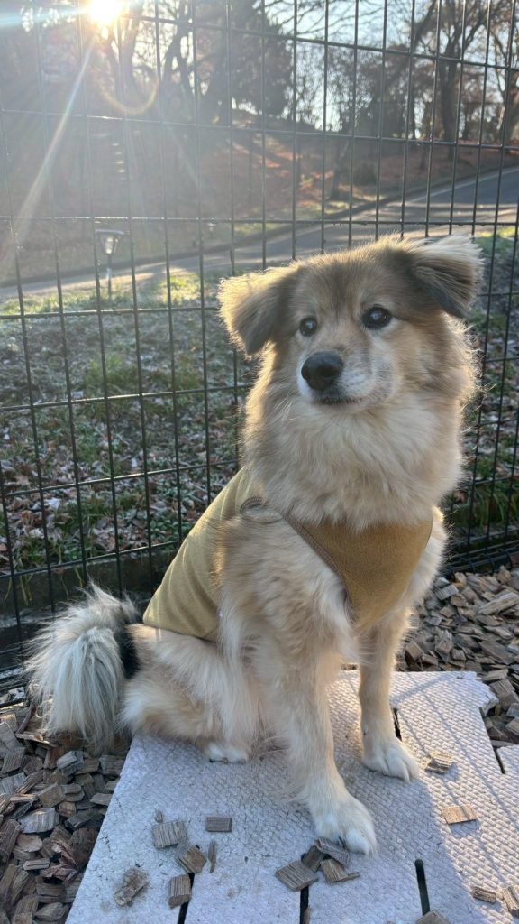 2925d71f8a59cfad164a4ab032b73cae