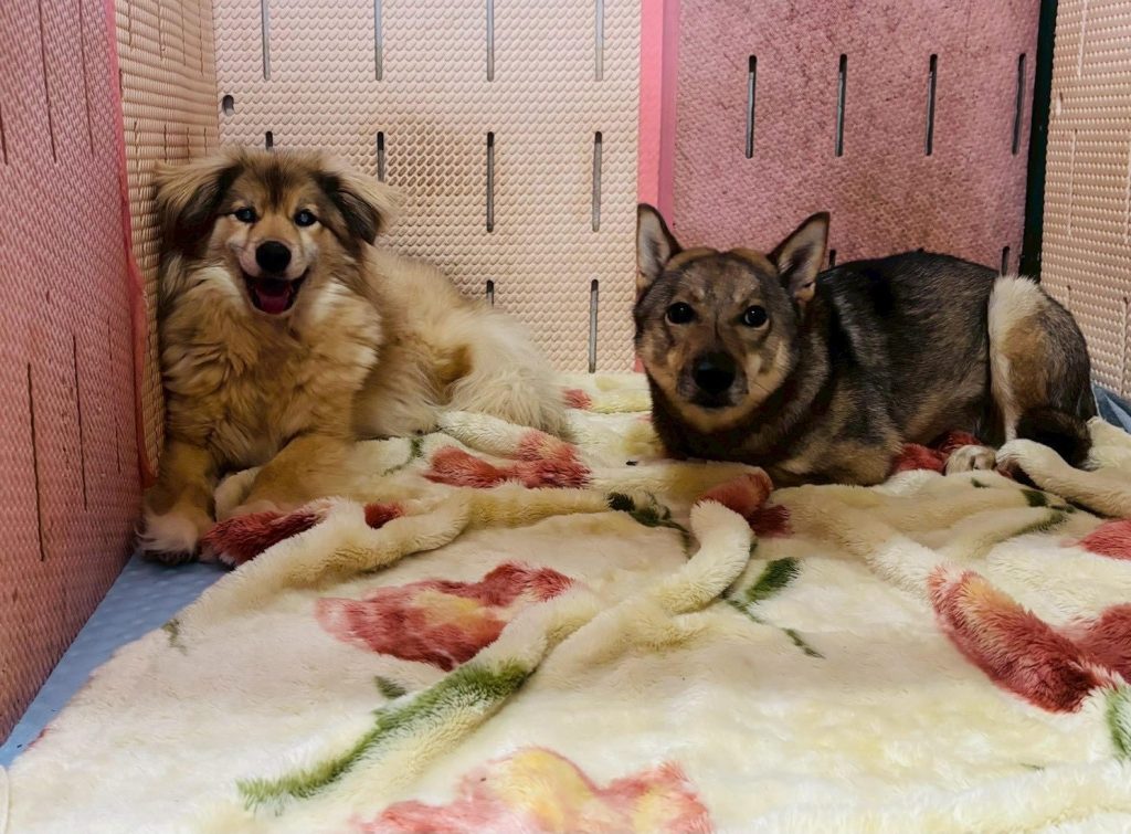 7ae0c9e044c580e5b8b086b7f7d7329d