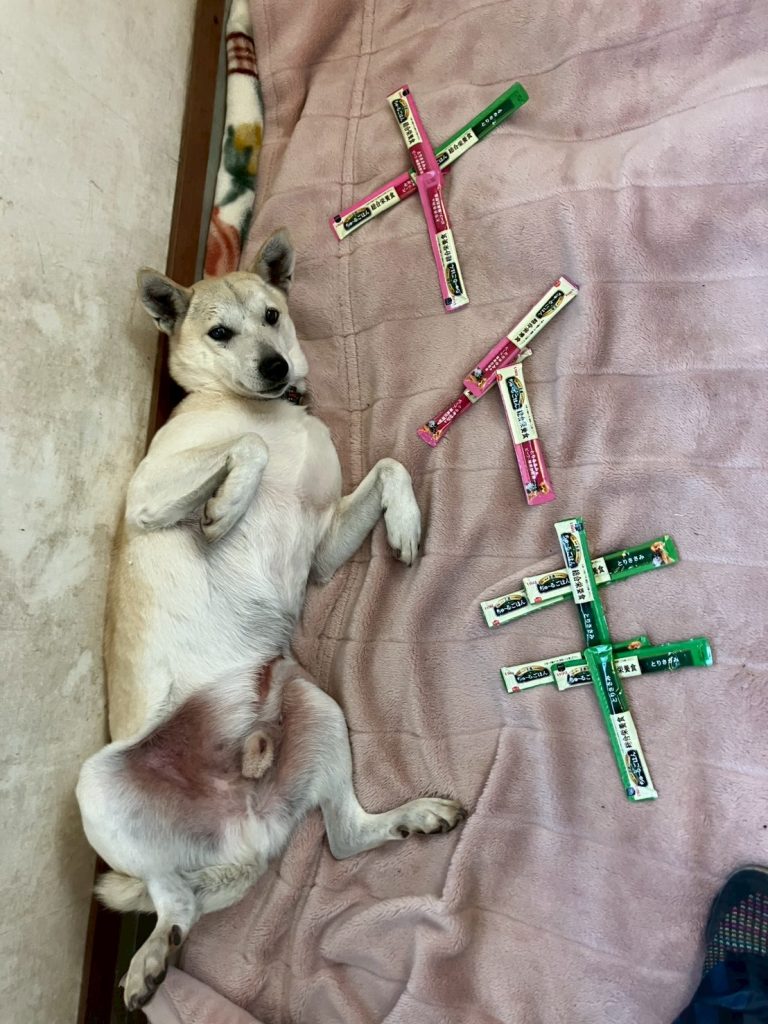 a35569b39a3f6fc1b473209ea8a9fb7b