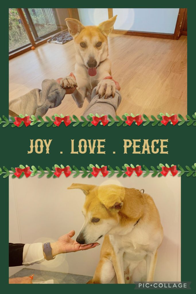 294a200102d27720e6dd767ae7f08fe5