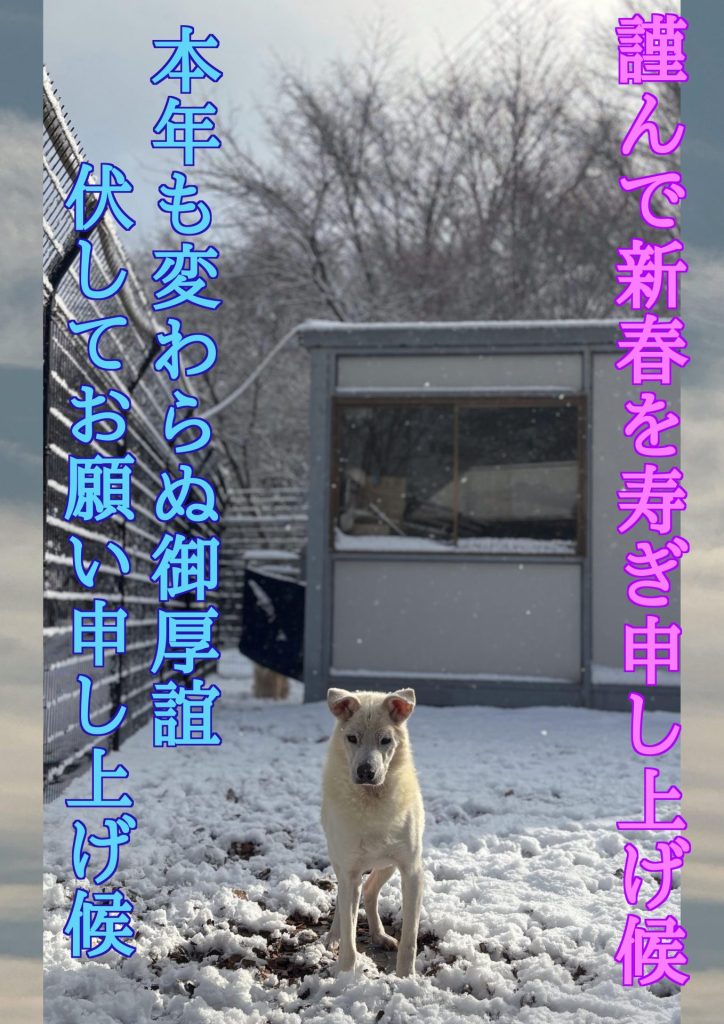 b61a2ced515f9272bd8ec53bdf843539