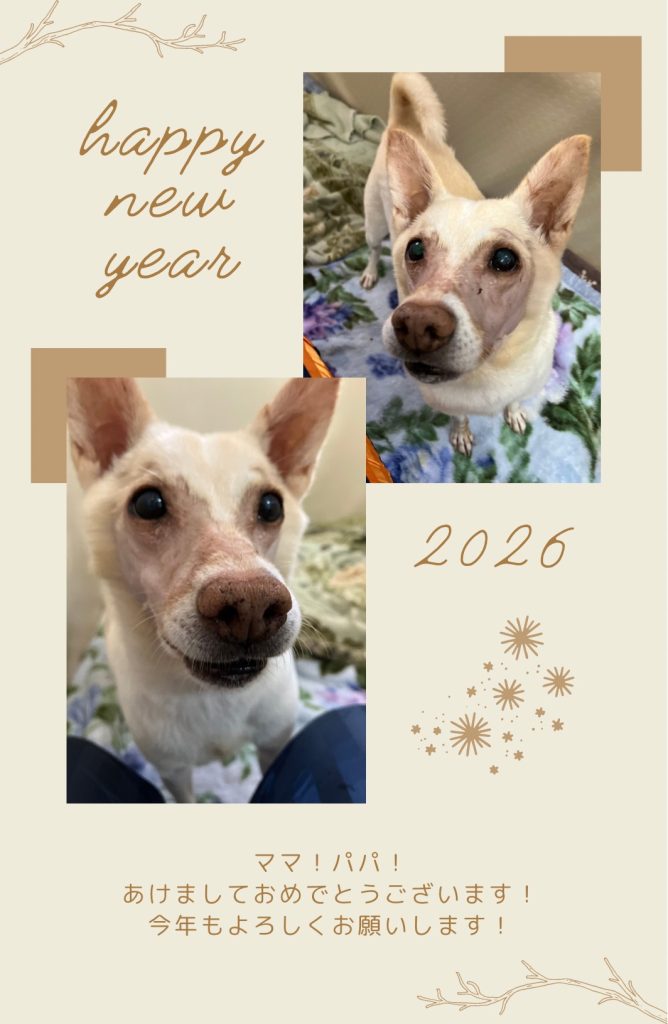 936c1184a4ad907dce29bcf6df2c39ca