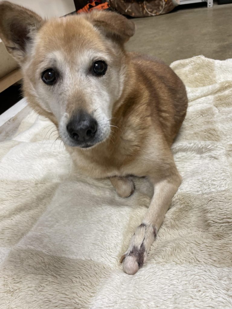 68493c20833e2cf9fee7c648368e51de