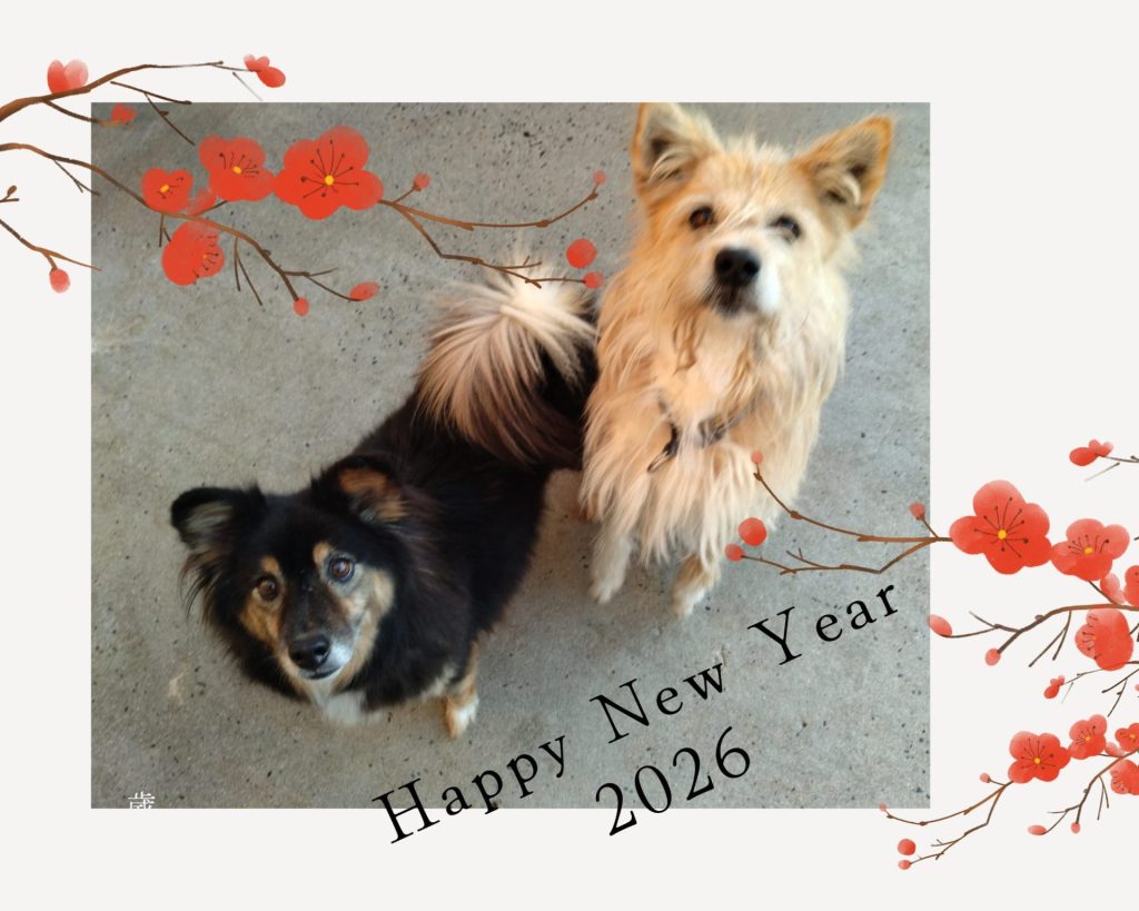 e6abd71944c36bbf92188c73b1be872e