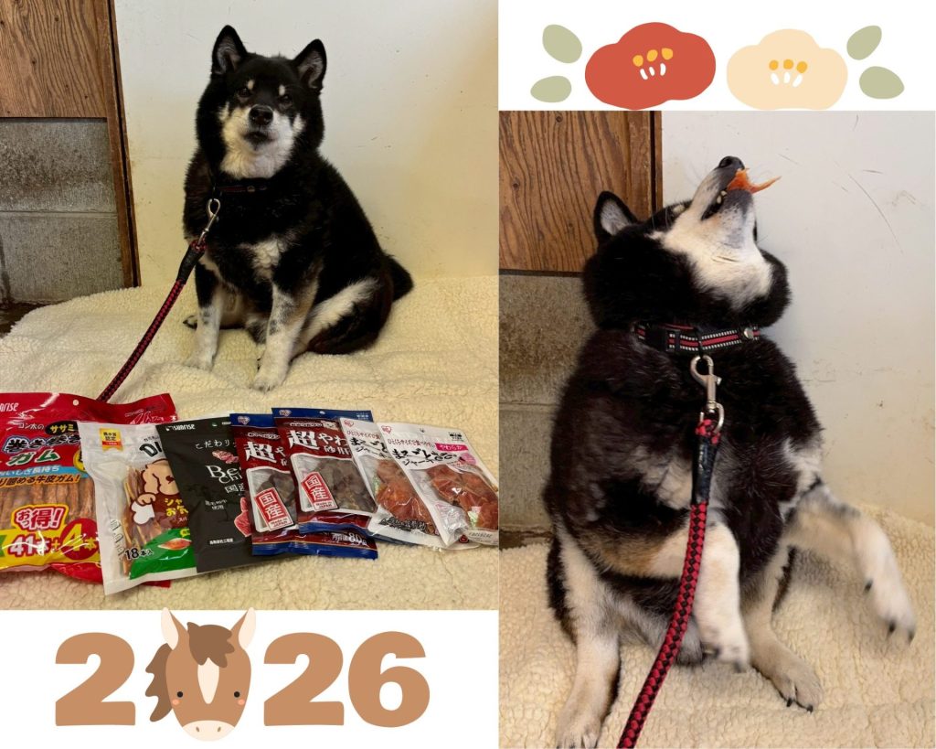 5dc8411437fdb0346c97d594ec1b2e2f