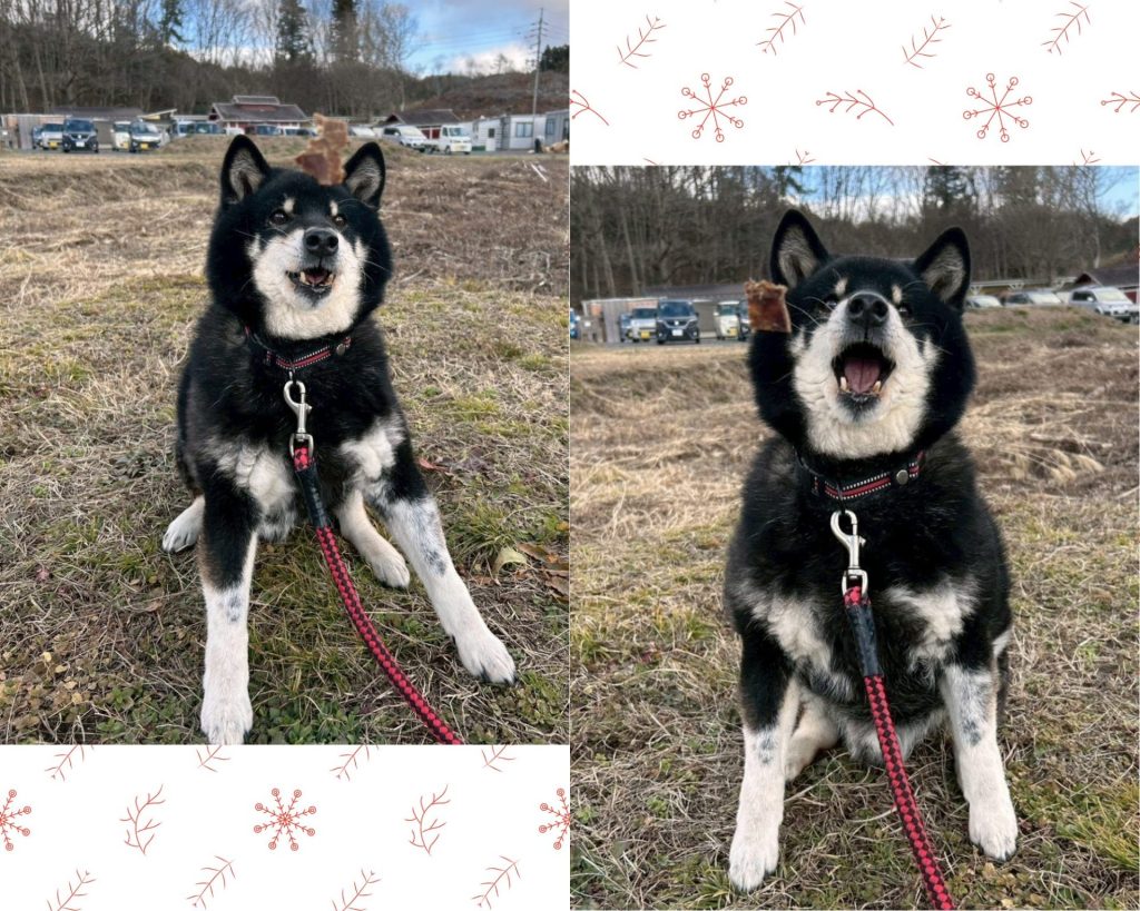 ccad7384d37f3db67166f62603f71aa1