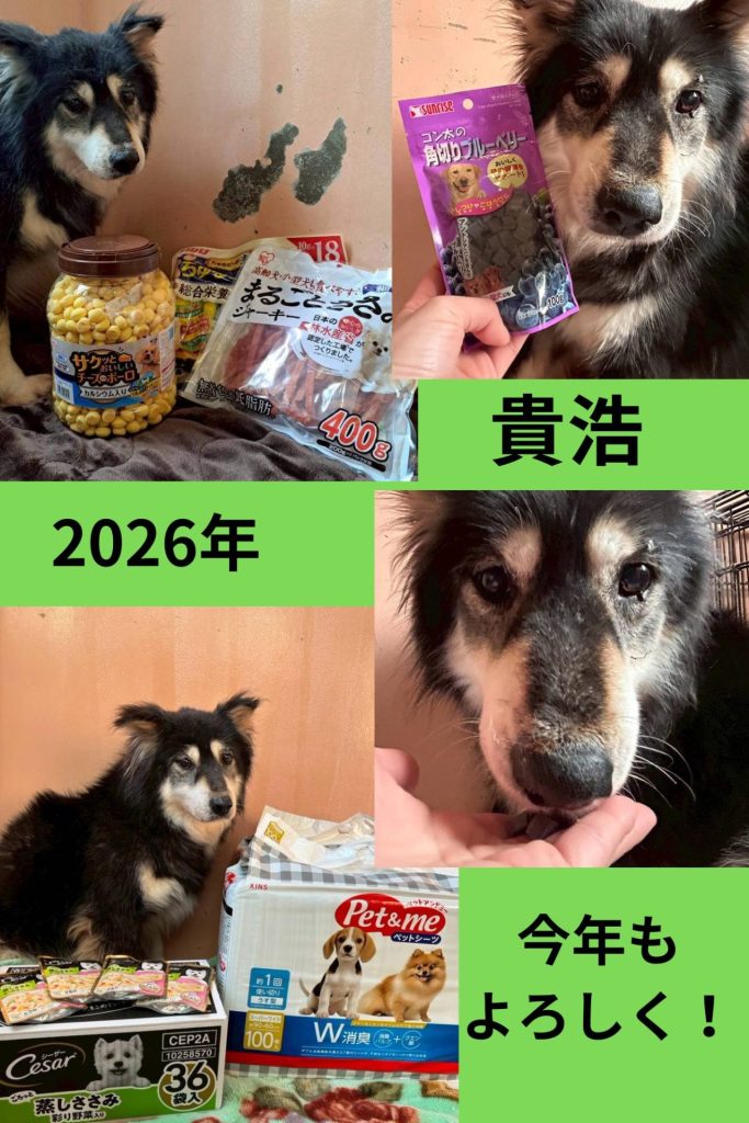 dd2fe3139ac276fd6e6fea8f322a0063