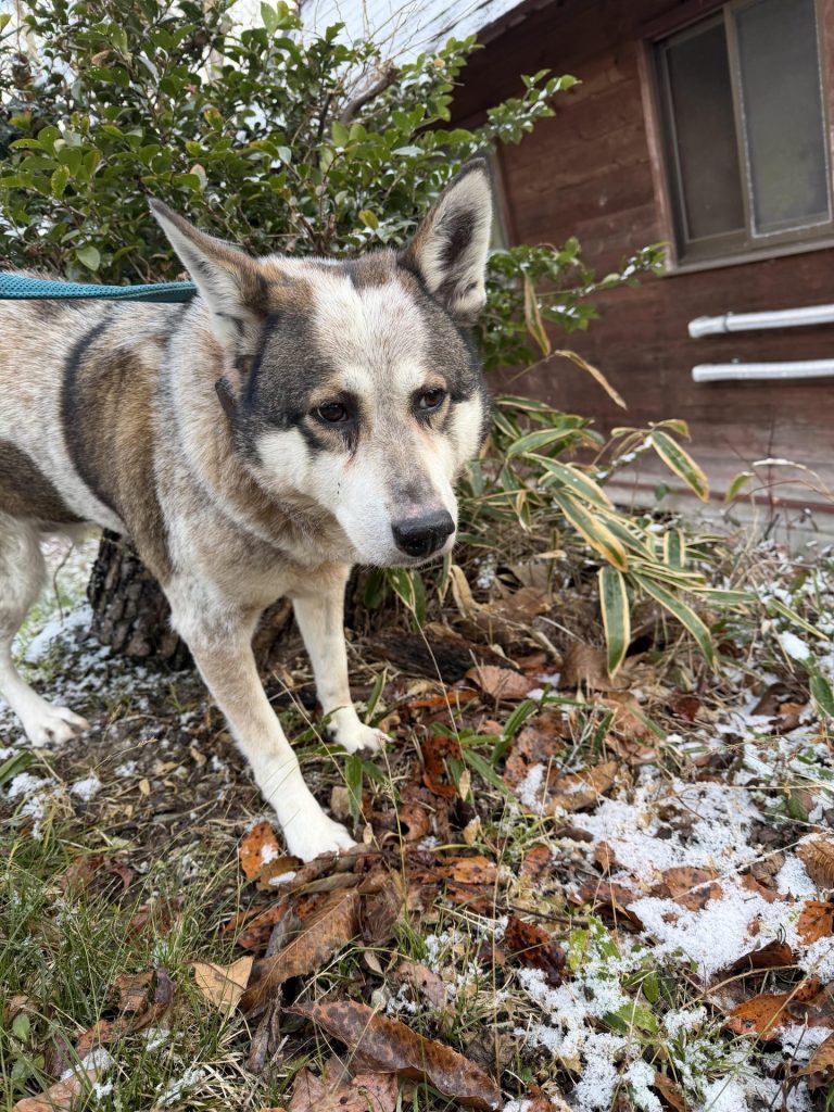 0e24e3e5abd8c12ff208067a109bd138