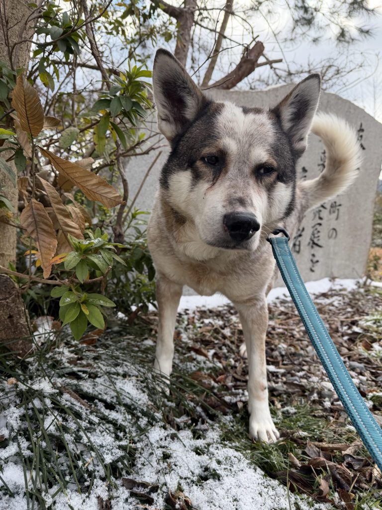 a9eb4681cd05f4f1d7e31efe45e9c47e