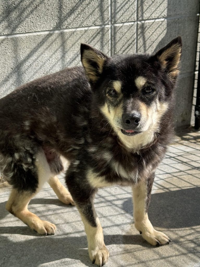 890c56827e3dbfcfe0559cfed07e2db8