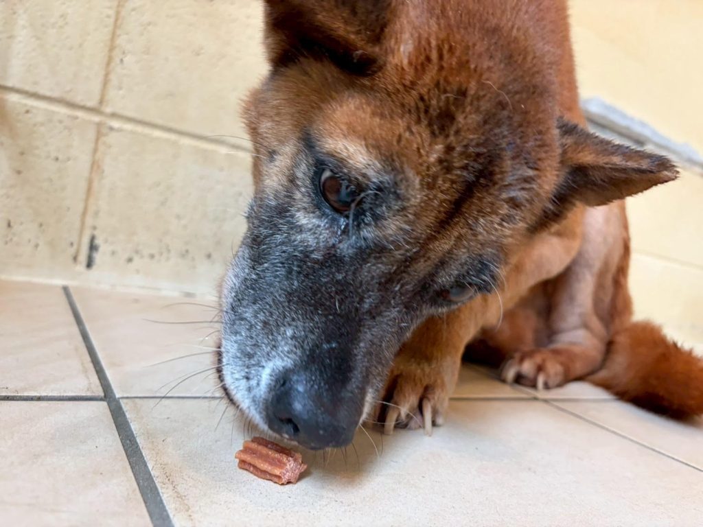 2aeab6a8e299a2b2f9ab402e214119af