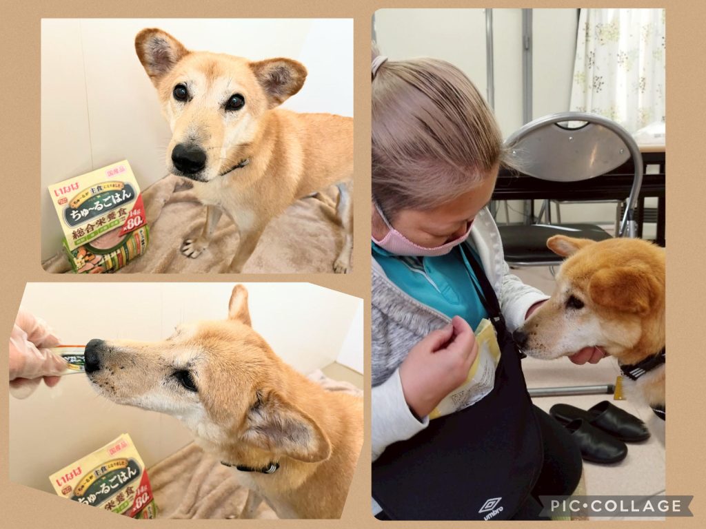 79374f9f1015ffc8aeba04e422be6a06