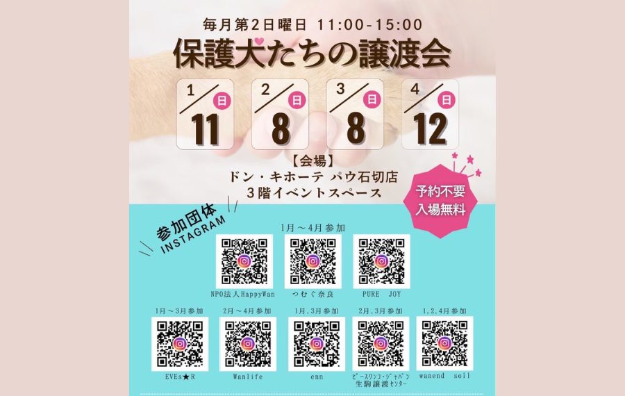 【ピースワンコの譲渡会】2/8(日)「保護犬たちの譲渡会」を開催(大阪/東大阪市) 3 5633c7851c03951727d35ac41b8bc770