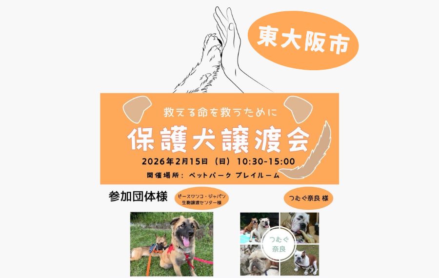 bdeb5d518da8804695659052919d7c54