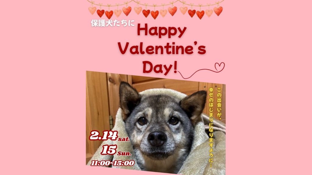 line oa chat 260127 130949