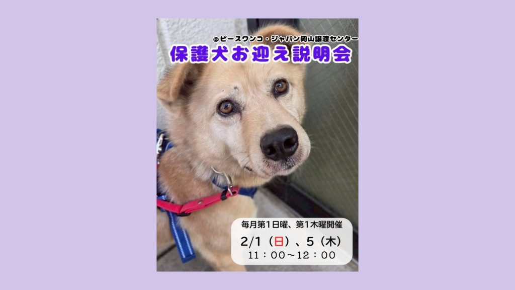 line oa chat 260127 131550