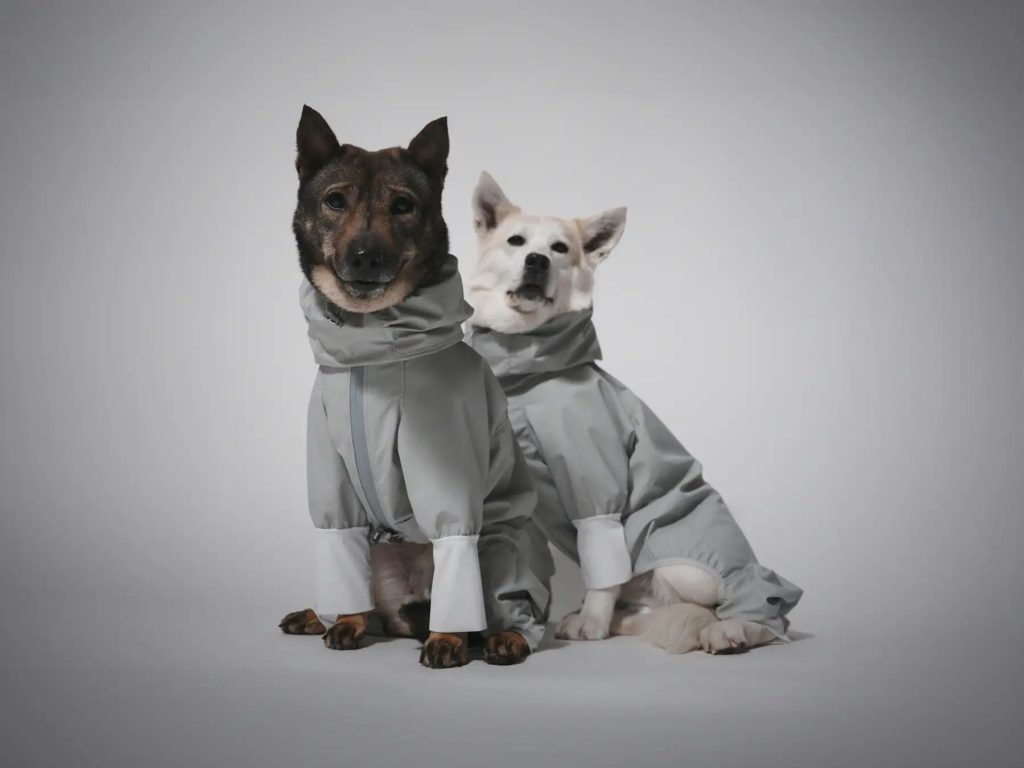 e917ce6389239ed40ca9a51f9bc62f35