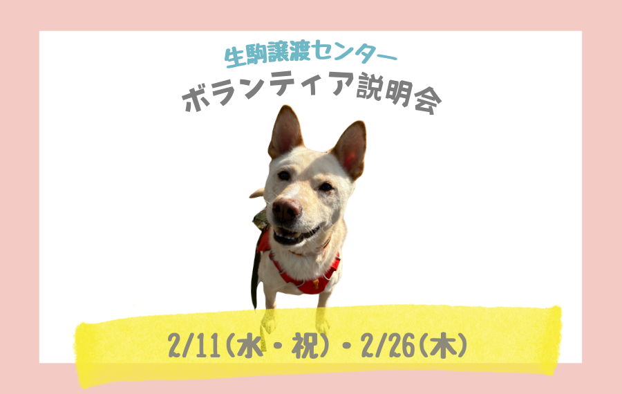 ba3d4f2035f00d7314fd8aba3d527082