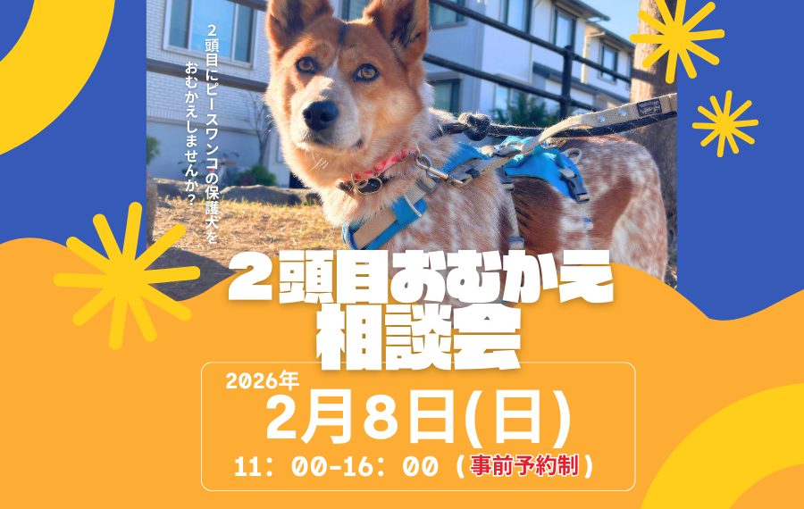 【ピースワンコのイベント】2/8(日)ピースワンコ2頭目おむかえ相談会※予約制(湘南譲渡センター) 6 4 3 2