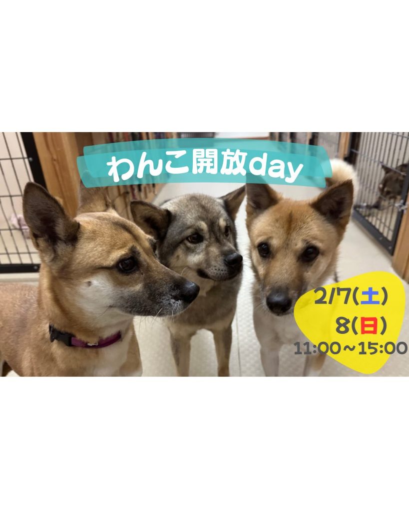 836869d05bbd3523d97d232af7e2bdca