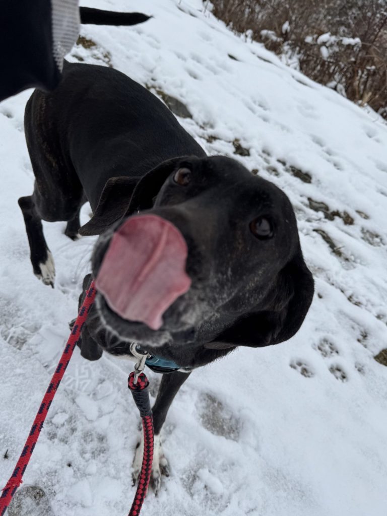 Journal 3 b9fa6990791885d41075a5ff334a53a6