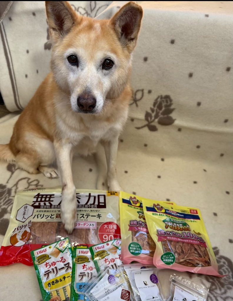 ☆彡ワンだふるファミリーからの近況報告:2026年1月29日(木曜日) 21 a3b58c6c68b34a17582632e8c82f7013