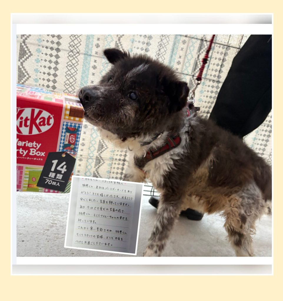 ☆彡ワンだふるファミリーからの近況報告:2026年1月29日(木曜日) 16 ecd82981e4af7d612f763c0c55d48b64