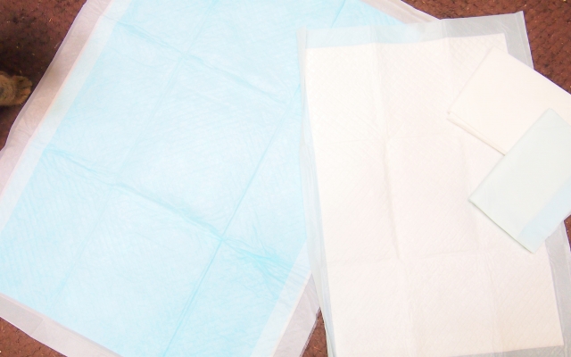 犬の多飲多尿は病気?飲水量や尿量が増える原因と受診の目安を解説【獣医師監修】 11 75c7ed4ccff112f707e4dd9a236641b9