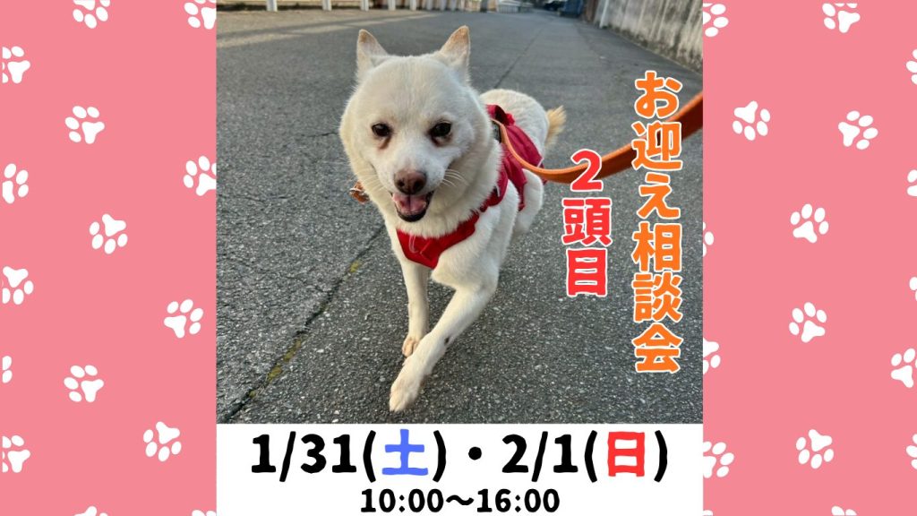 4710079729d19f152a19c663b84980bf