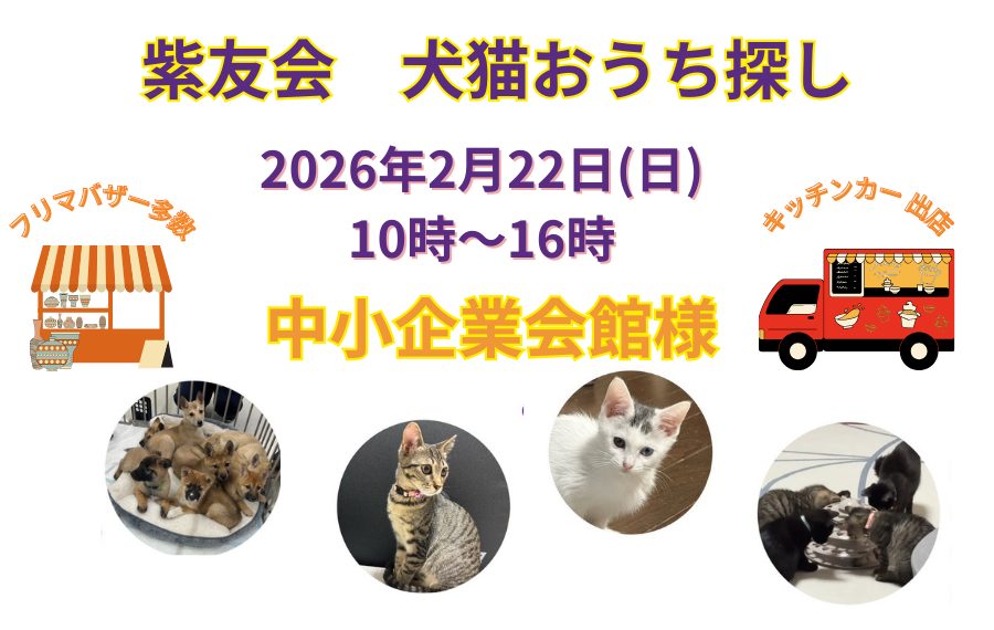 譲渡会・イベントのご案内 10 2 2 1