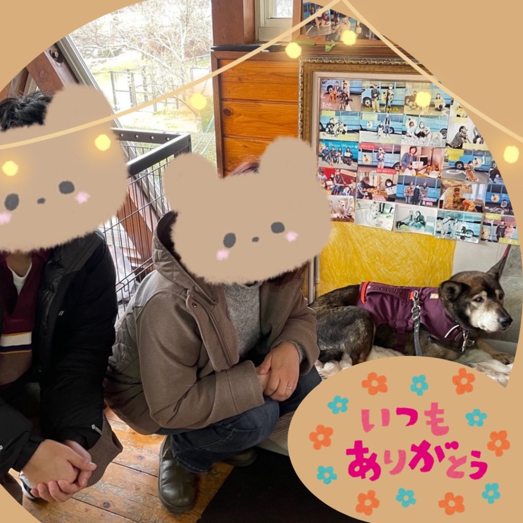 ワンだふるファミリーからの近況報告:2026年1月31日(土曜日) 13 d71687b9657a76553a78752a4b5199cd