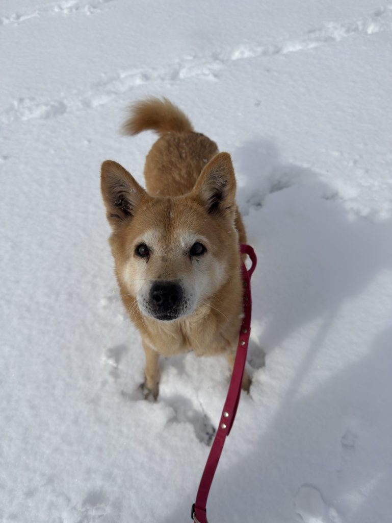 Journal 1 0108a4843bf73abec21fcb286710420a