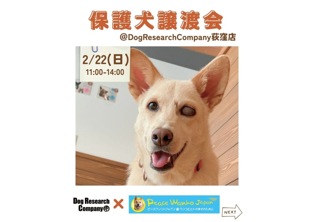 08b2b20be0a88701e04e4fb00f986ca9