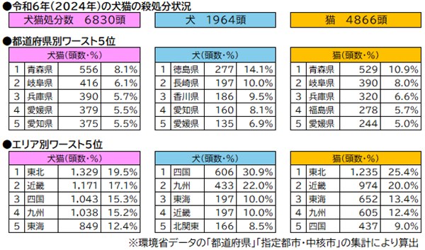 【速報・環境省発表】2024年度の犬・猫の殺処分数6,830頭。減少の裏で見える課題 1 605a76bf8511775889215b0471910382 1