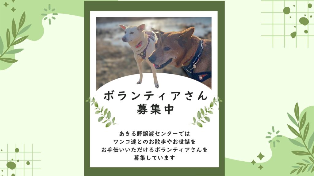 譲渡会・イベントのご案内 9 ea2c8b1c110574807fab943ffd1efe93