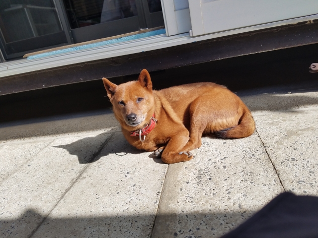 0cadfe60d7c4034bf43e1338f1462677