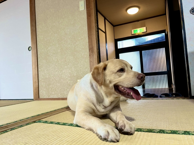 599b4a6bec1d887616ee7e37151216e3