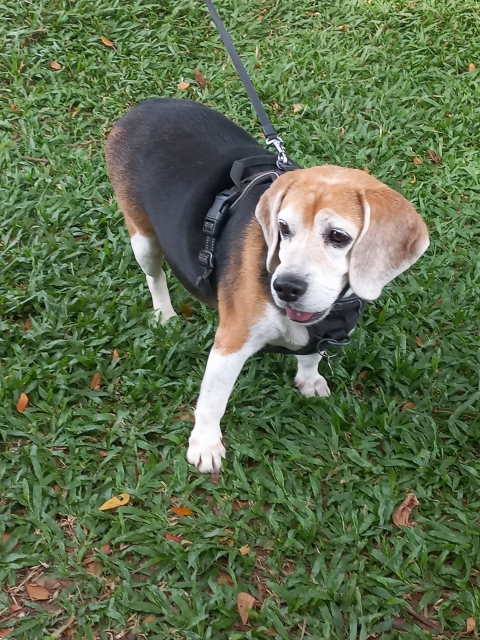 00f414f6976a60fa33cda41c0962d8f3